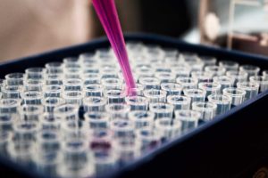 Shaping the Future of Medical Cannabis
